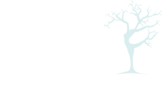 Pure Growth Asia